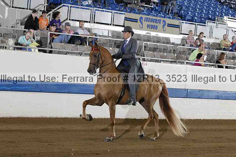 Proof 12r13_3523