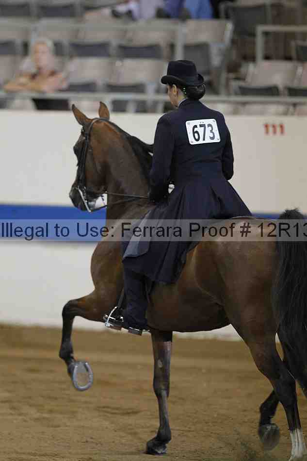 Proof 12r13_3527