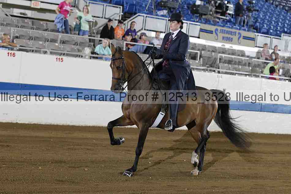 Proof 12r13_3528