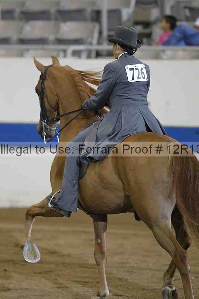 Proof 12r13_3529