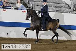 12r13_3532 proof
