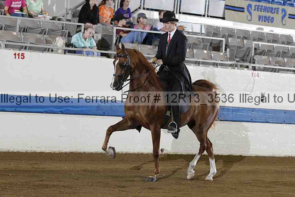 Proof 12r13_3536