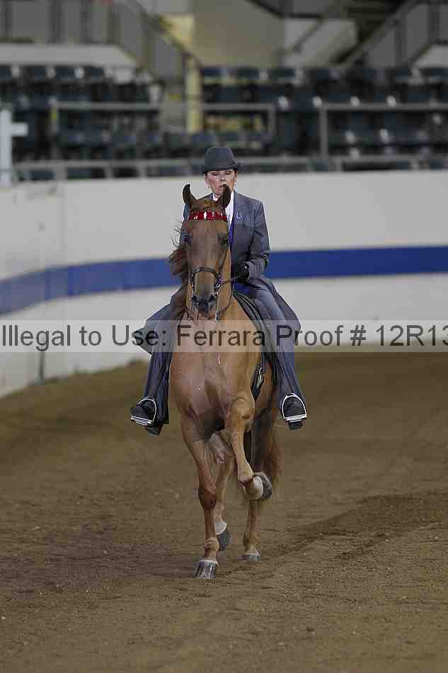 Proof 12r13_3537