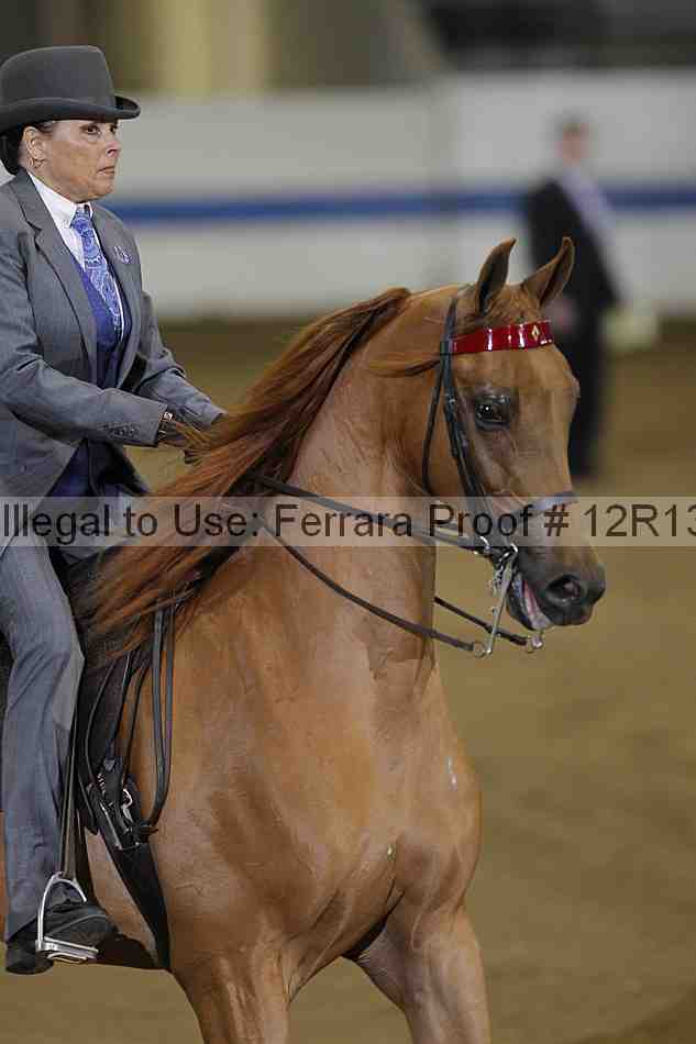 Proof 12r13_3539