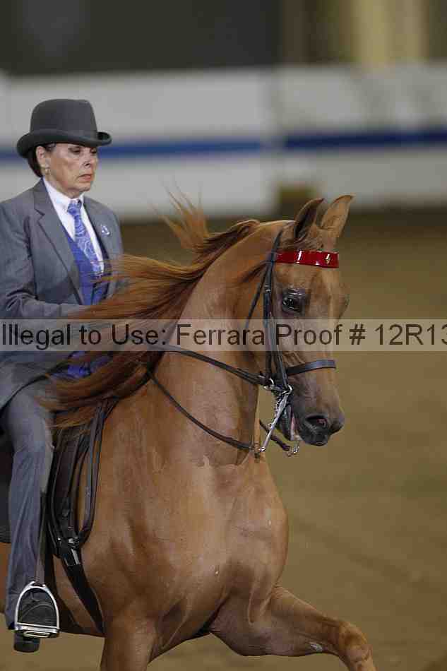 Proof 12r13_3548
