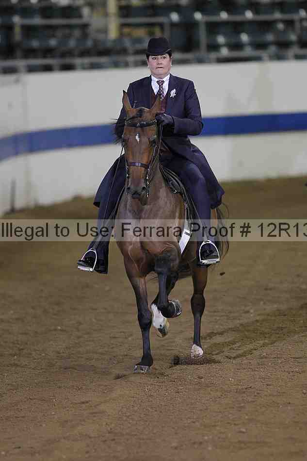 Proof 12r13_3555