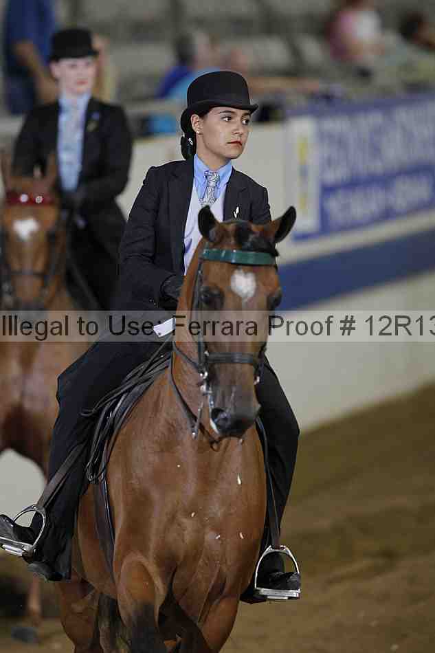 Proof 12r13_3560
