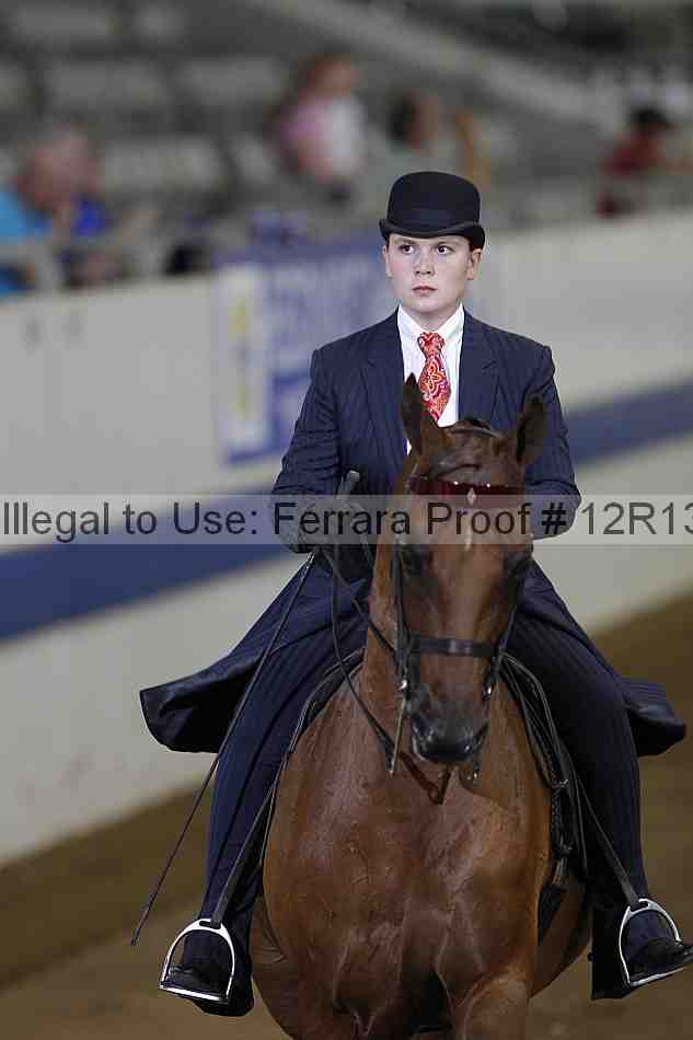 Proof 12r13_3564