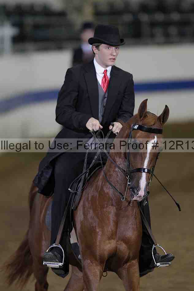 Proof 12r13_3565