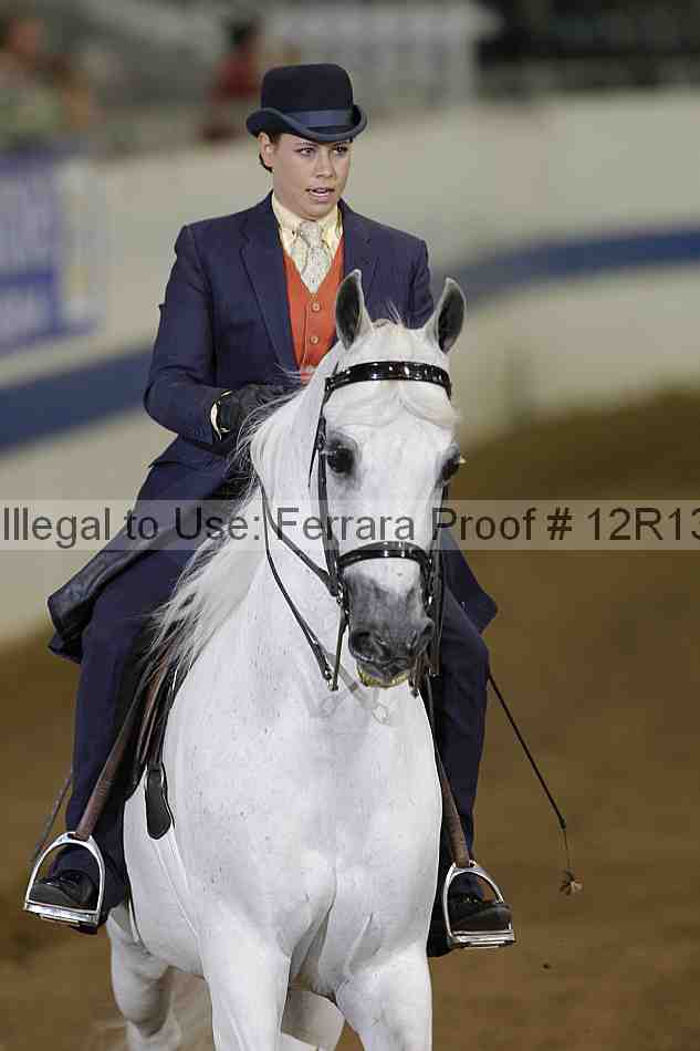 Proof 12r13_3569