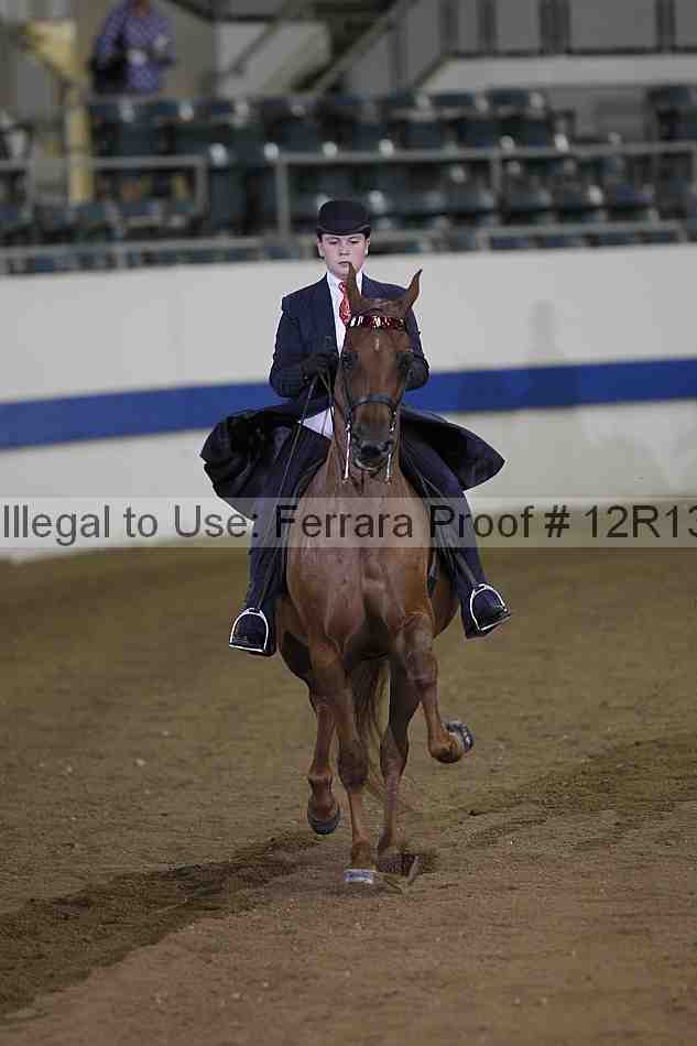 Proof 12r13_3573