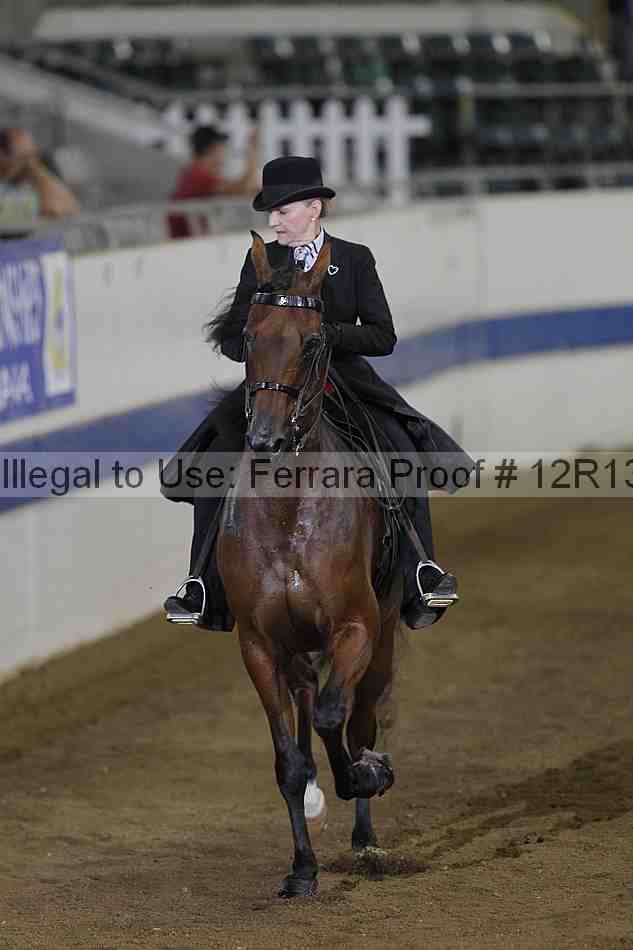 Proof 12r13_3574