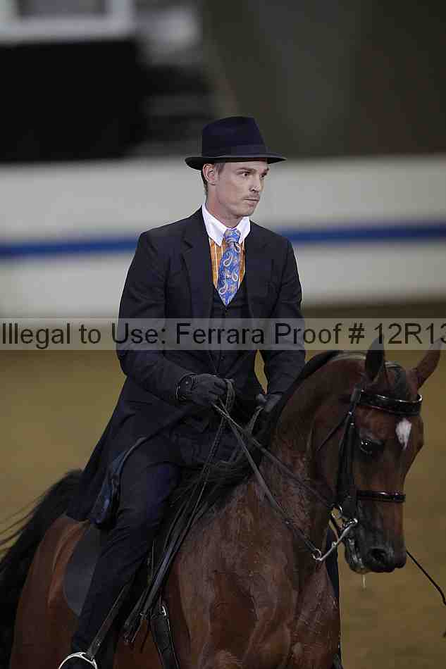 Proof 12r13_3575