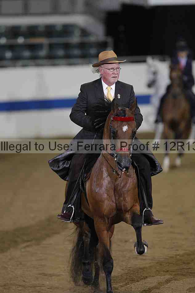 Proof 12r13_3576