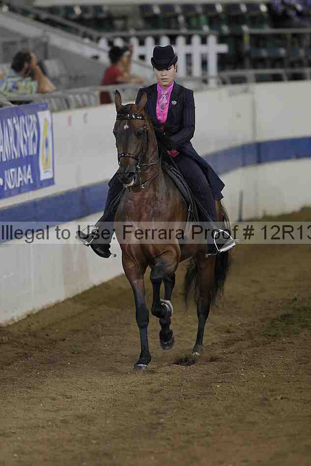 Proof 12r13_3577