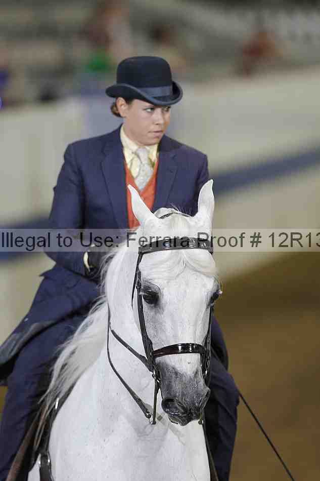 Proof 12r13_3581