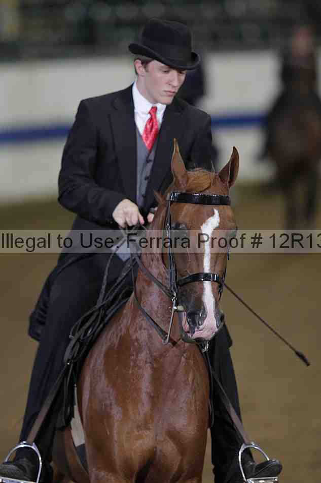 Proof 12r13_3586
