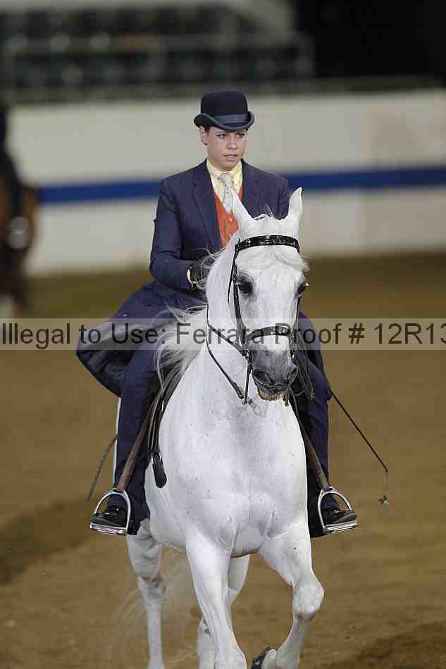 Proof 12r13_3594