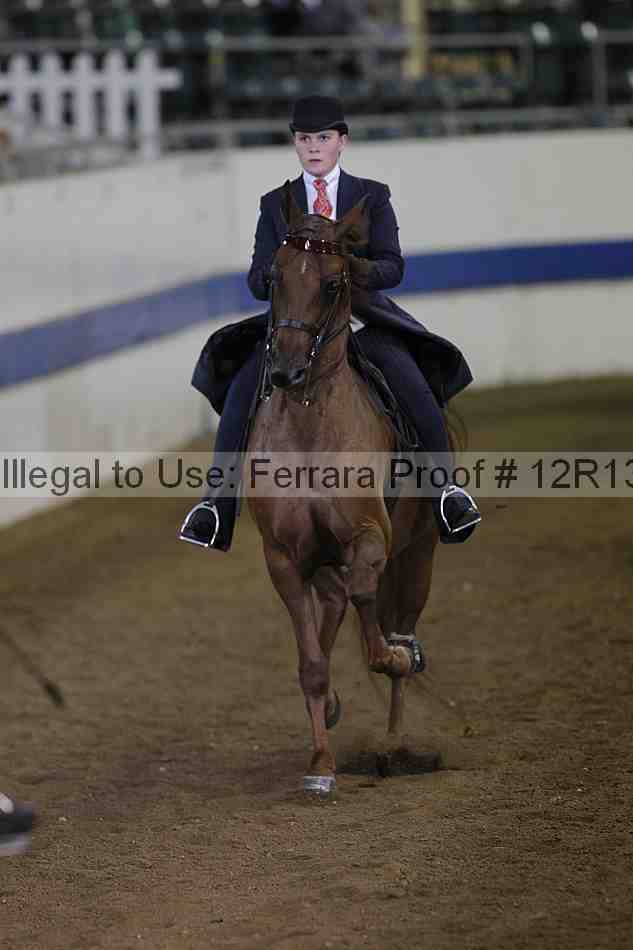 Proof 12r13_3595