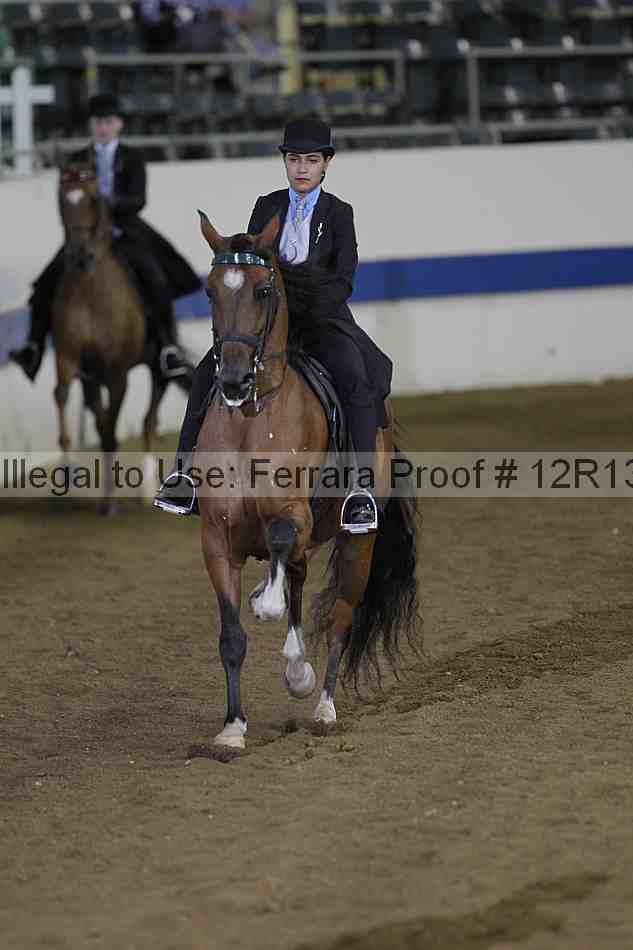 Proof 12r13_3596