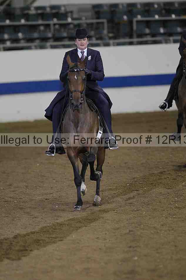 Proof 12r13_3597