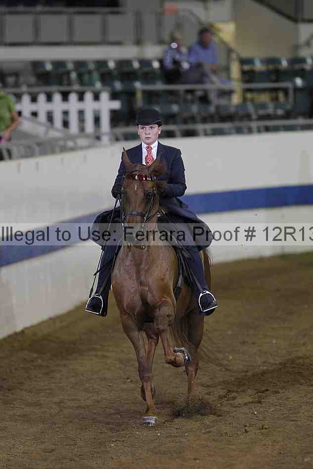 Proof 12r13_3603