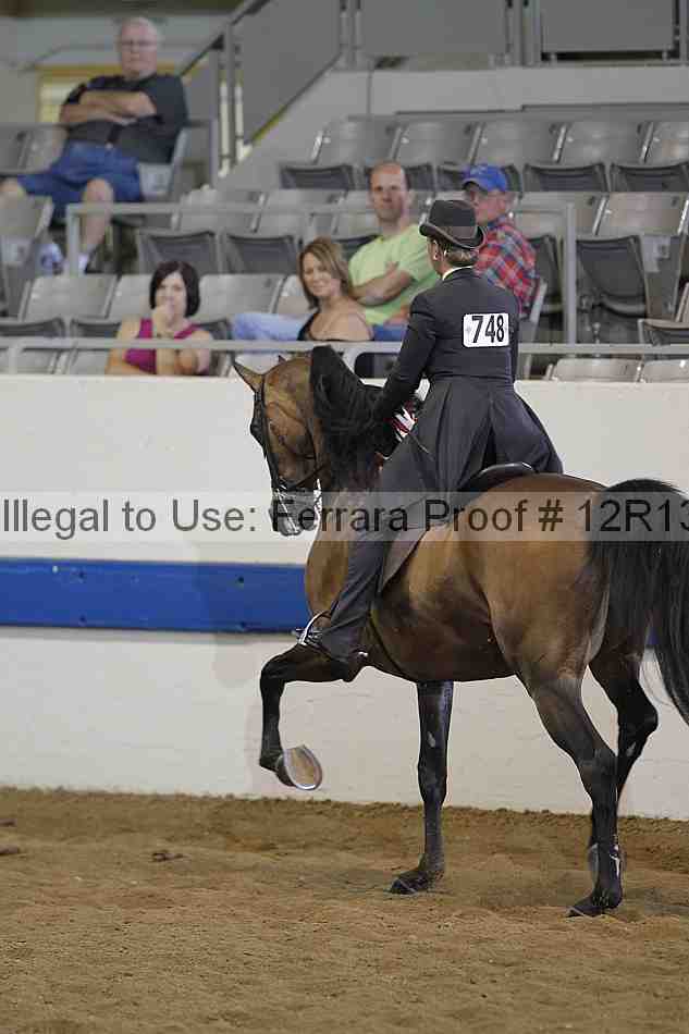Proof 12r13_3608