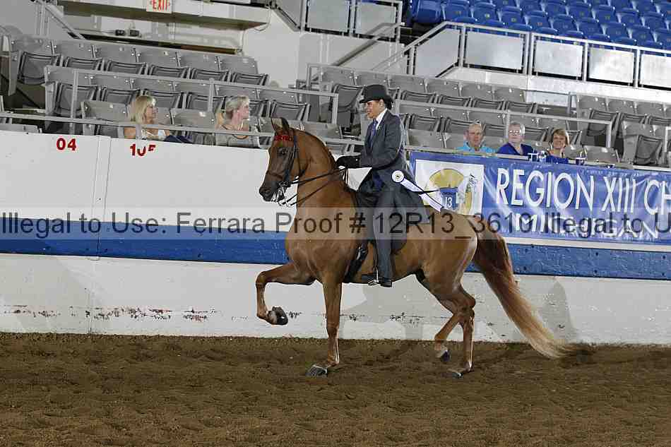 Proof 12r13_3610