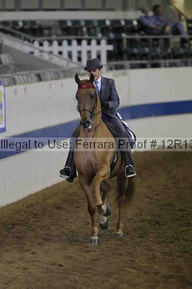 Proof 12r13_3619