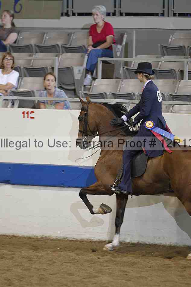 Proof 12r13_3629