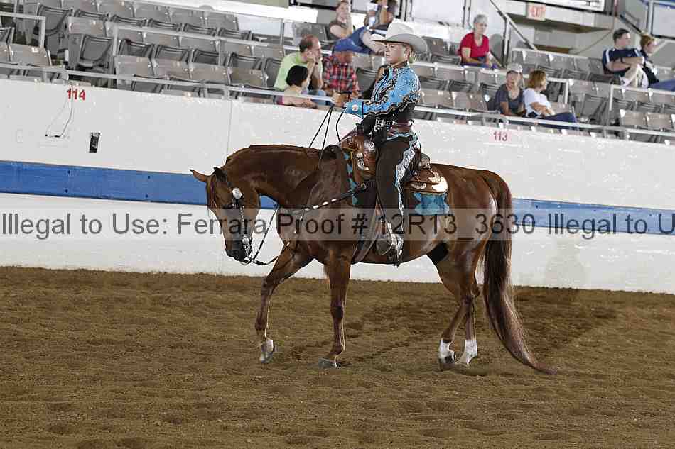 Proof 12r13_3630
