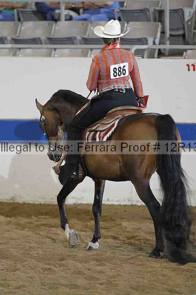 Proof 12r13_3633