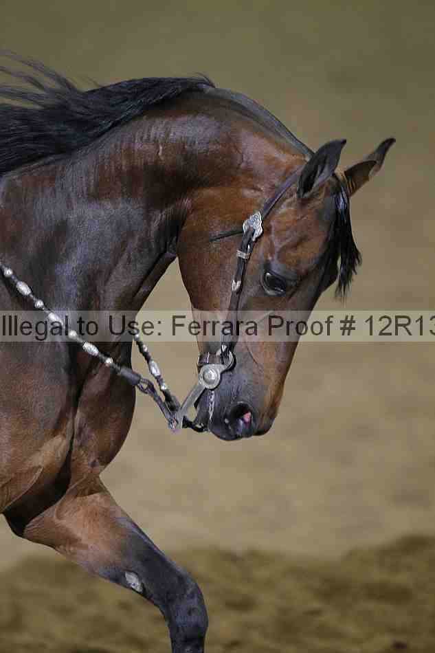 Proof 12r13_3648