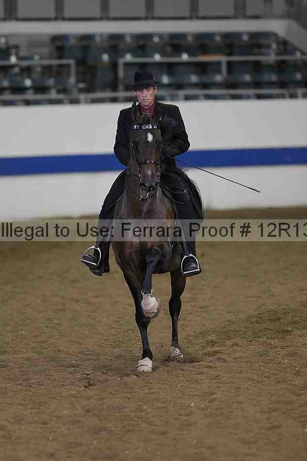 Proof 12r13_3655