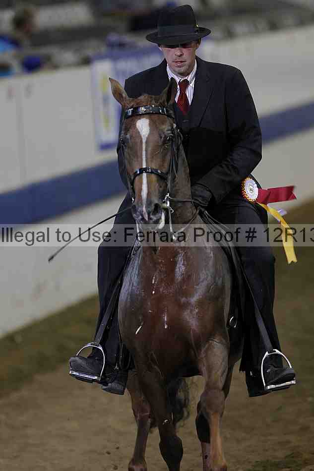 Proof 12r13_3663