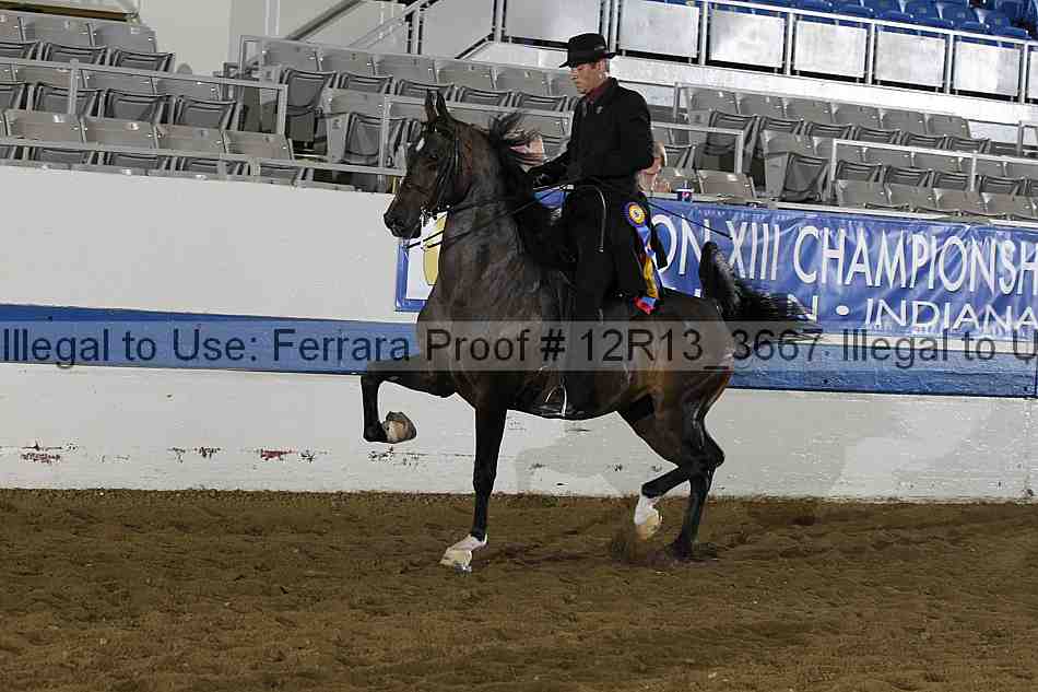 Proof 12r13_3667