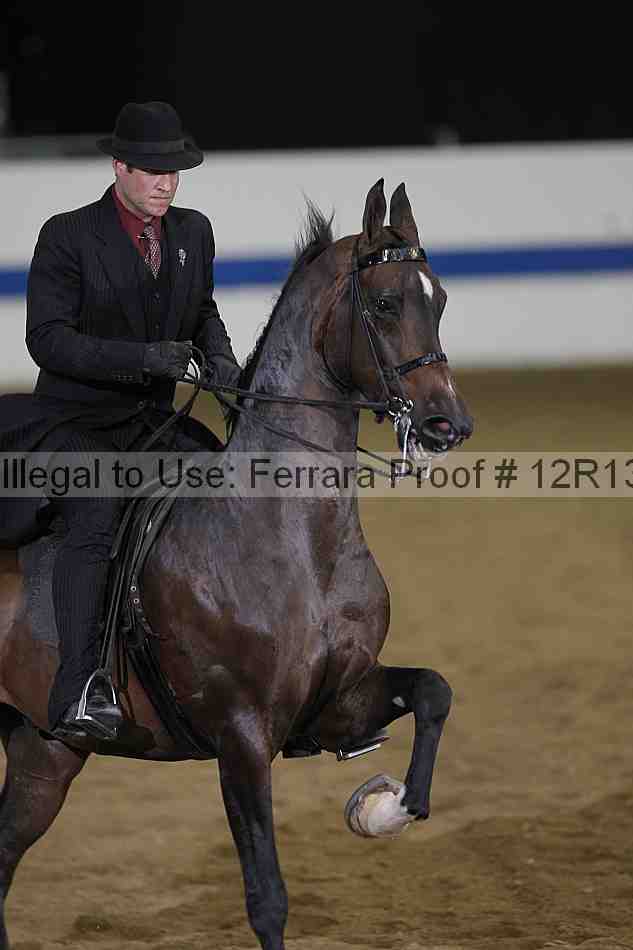 Proof 12r13_3668
