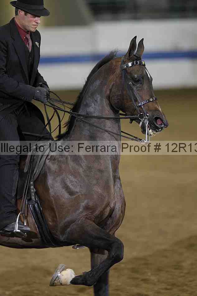 Proof 12r13_3669