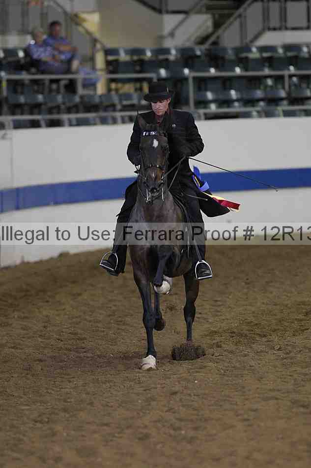 Proof 12r13_3671