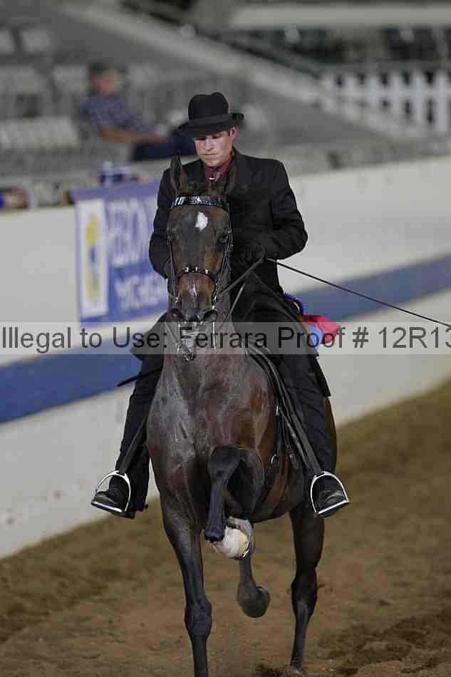 Proof 12r13_3673