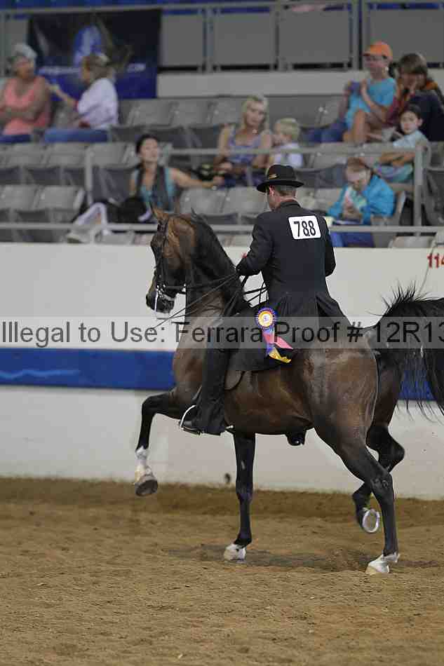 Proof 12r13_3675