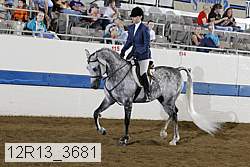 12r13_3681 proof