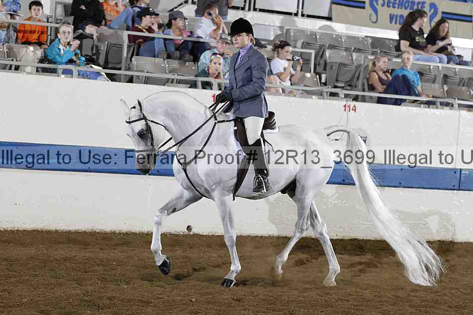Proof 12r13_3699