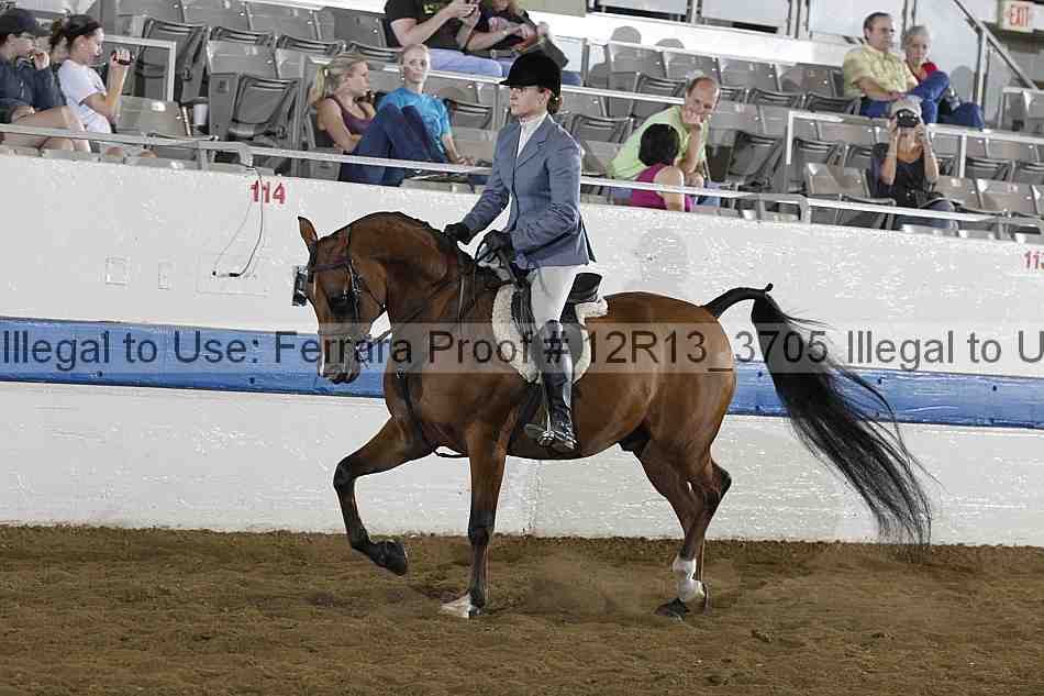 Proof 12r13_3705