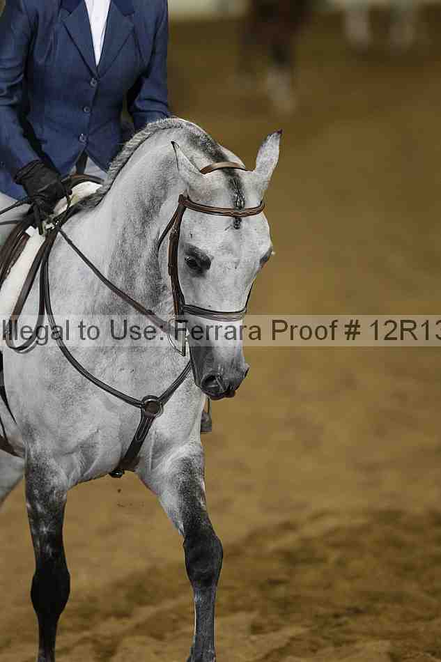 Proof 12r13_3711