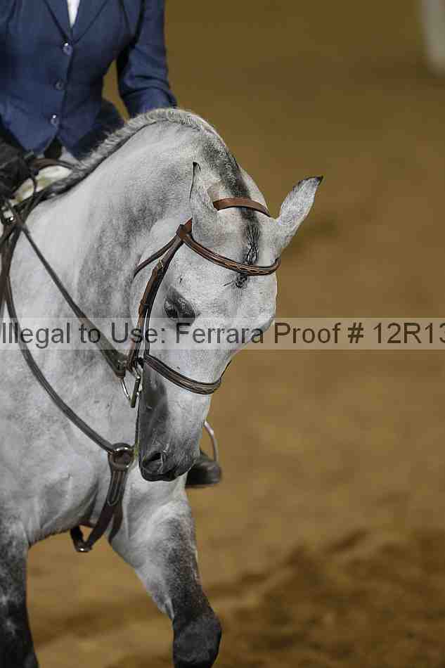 Proof 12r13_3716