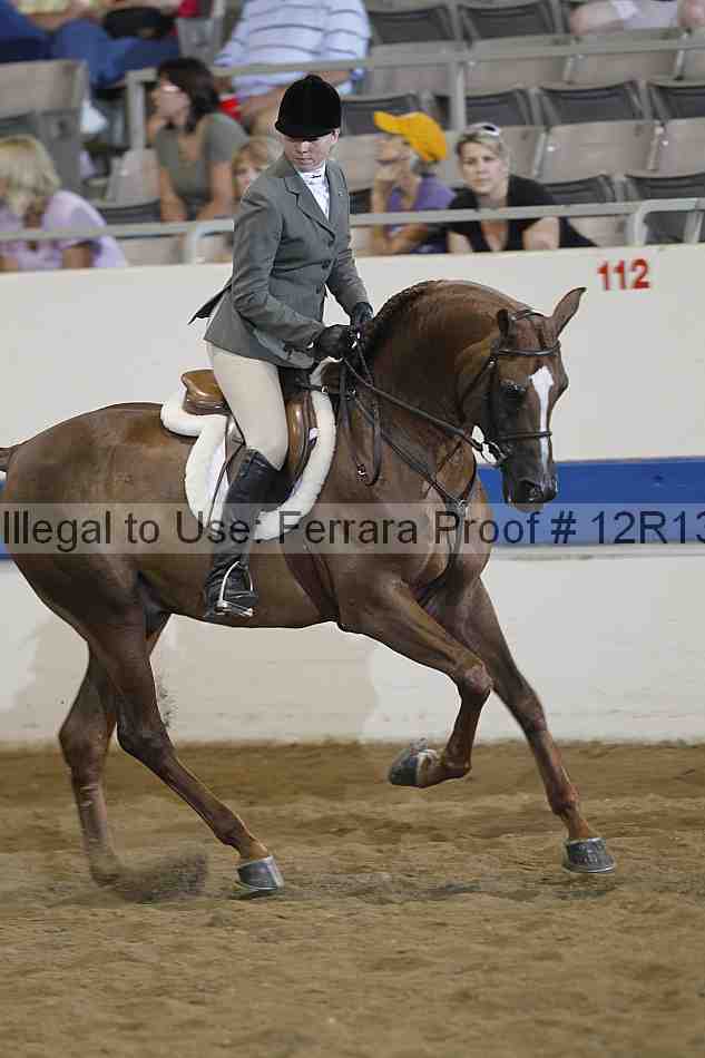 Proof 12r13_3725