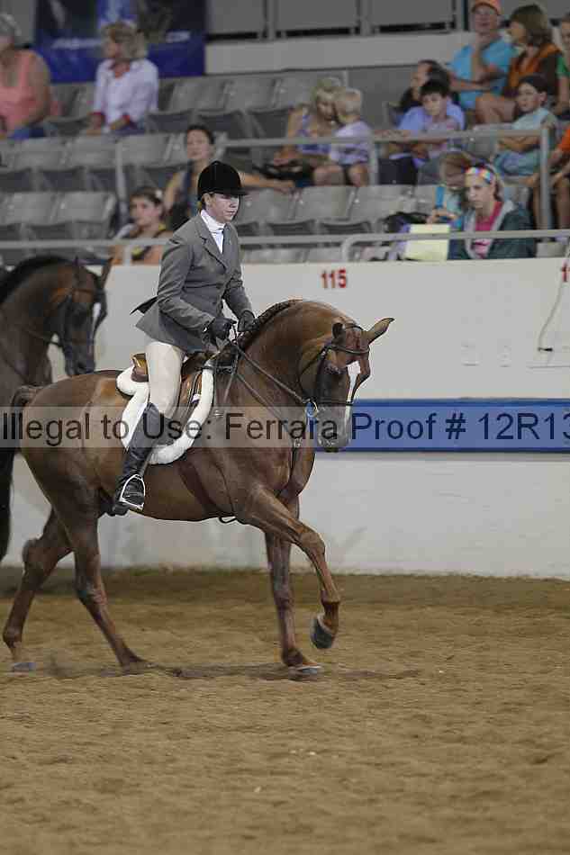 Proof 12r13_3733