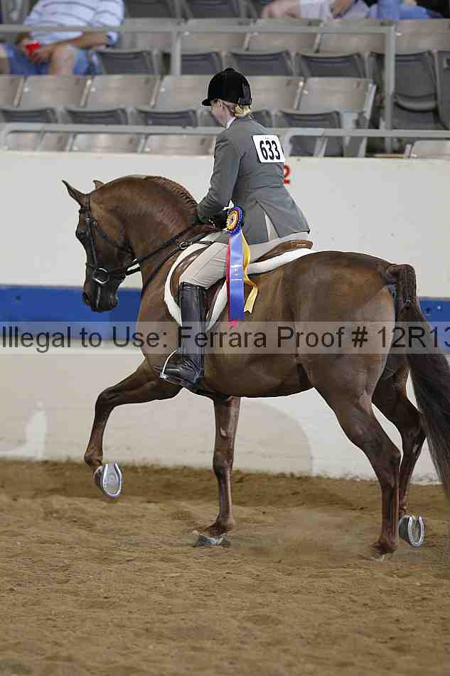 Proof 12r13_3754