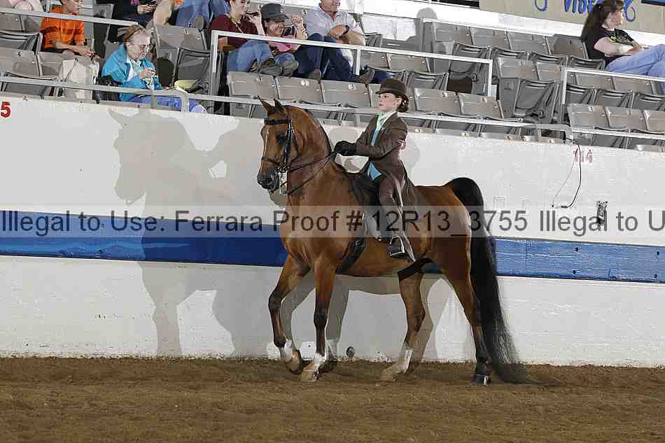 Proof 12r13_3755